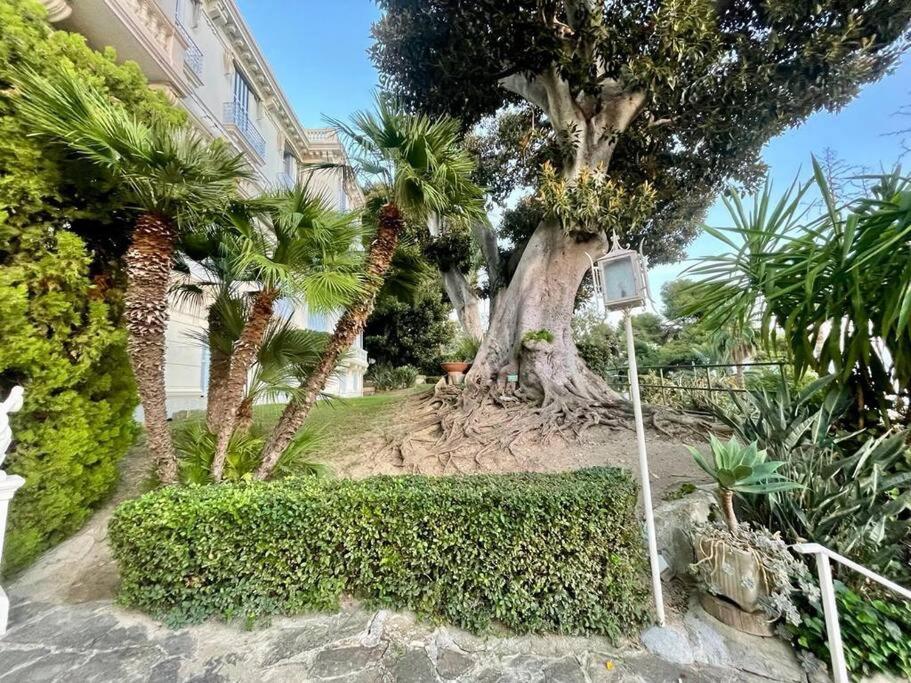 Suite Cavalieri Di Rodi 6 - Ospedaletti Extérieur photo